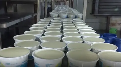 पूर्वका दुग्ध किसानको बक्यौता घटेर करिब ३ करोडमा
