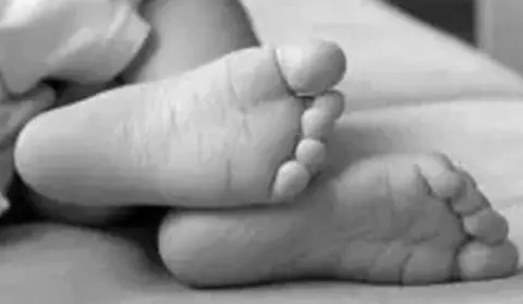 बाराको परवानीपुरमा सर्पले टोकेर १० वर्षीया बालिकाको मृत्यु