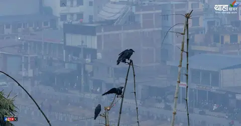 आगामी मंगलबारदेखि एक साताभन्दा बढी देशका धेरै ठाउँमा वर्षाको सम्भावना