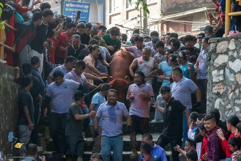 महानवमीमा भक्तपुरमा खःमेय् जात्रा, पाटनमा खड्ग जात्रा