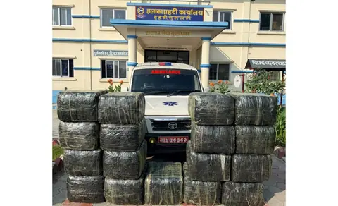 Over 574 kg of marijuana recovered from ambulance in Sunsari, driver flees
