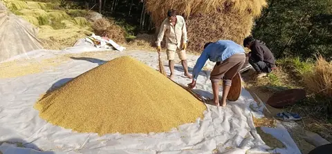 Cyclone 'Arnab' to affect Nepal too, farmers urged to harvest paddy before Thursday