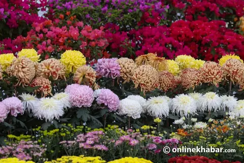 १९औँ गोदावरी फूल प्रदर्शनी कात्तिक १२ देखि जावलाखेलमा