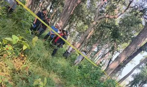 कैलालीमा च्याउ टिप्न वन गएका एक पुरुषको बाघको आक्रमणबाट मृत्यु