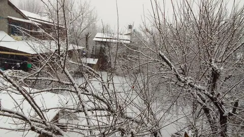हुम्लामा अचानक वर्षा र हिमपात, जनजीवन प्रभावित