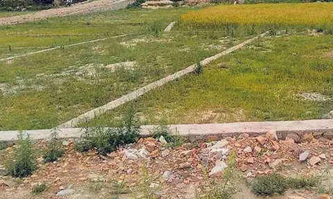 Rawal Commission report implemented: 302 ropani of Kathmandu land brought under government's name