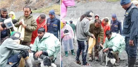 हेलिकप्टर असफल, र्याफ्टिङ टोलीले २० दिनपछि बचायो बाढीमा फसेको कुकुर
